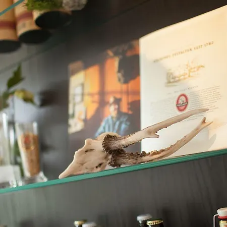 تروب ريفيتال فندق