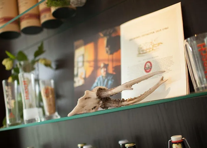 Traube Revital Hotell